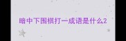 暗中下围棋打一成语是什么