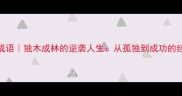 孤单猜成语独木成林的逆袭人生从孤独到成功的经典密码