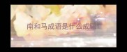 南和马成语是什么成语