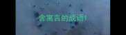 含寓言的成语