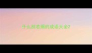 什么然若揭的成语大全