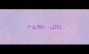 什么羽打一成语