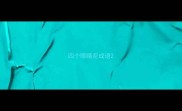 四个眼睛花成语