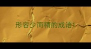 形容少而精的成语