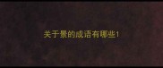关于景的成语有哪些