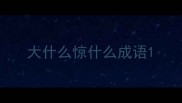 大什么惊什么成语