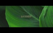 含打字成语