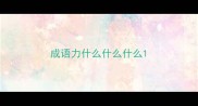 成语力什么什么什么