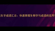 100个常见生字成语汇总快速掌握生僻字与成语的实用学习指南