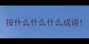 按什么什么什么成语