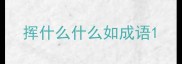 挥什么什么如成语