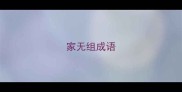 家无组成语