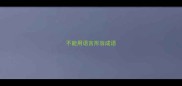 不能用语言形容成语