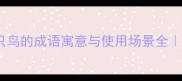 四鸟同巢四只鸟的成语寓意与使用场景全附诗词应用技巧