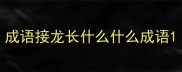成语接龙长什么什么成语
