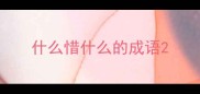 什么惜什么的成语