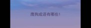 鹰狗成语有哪些