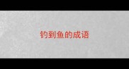 钓到鱼的成语