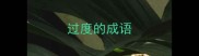 过度的成语
