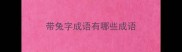 带兔字成语有哪些成语
