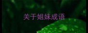 关于姐妹成语