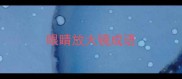 眼睛放大镜成语