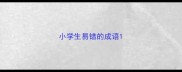 小学生易错的成语
