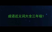 成语近义词大全三年级
