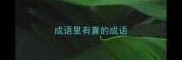 成语里有囊的成语