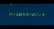 寿终成语有哪些成语大全