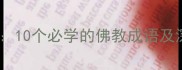 佛经中的智慧密码10个必学的佛教成语及深度传统文化必看