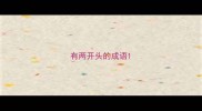 有两开头的成语