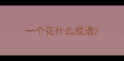 一个花什么成语