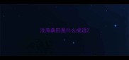 沧海桑田是什么成语