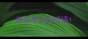 形容吊兰的成语