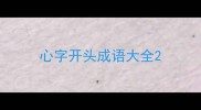 心字开头成语大全
