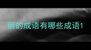 丽的成语有哪些成语