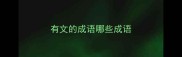有文的成语哪些成语
