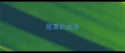 尾青的成语