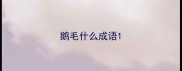 鹅毛什么成语