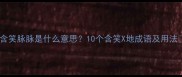 含笑脉脉是什么意思10个含笑X地成语及用法