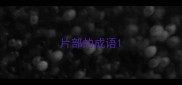 片部的成语
