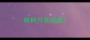 桂树月亮成语