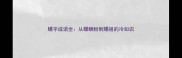 螺字成语全从螺蛳粉到螺祖的冷知识