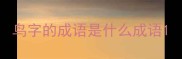 鸟字的成语是什么成语