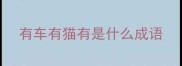 有车有猫有是什么成语