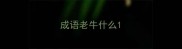 成语老牛什么