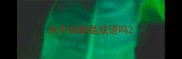 水平如镜是成语吗