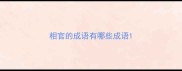 相官的成语有哪些成语