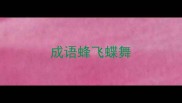 成语蜂飞蝶舞